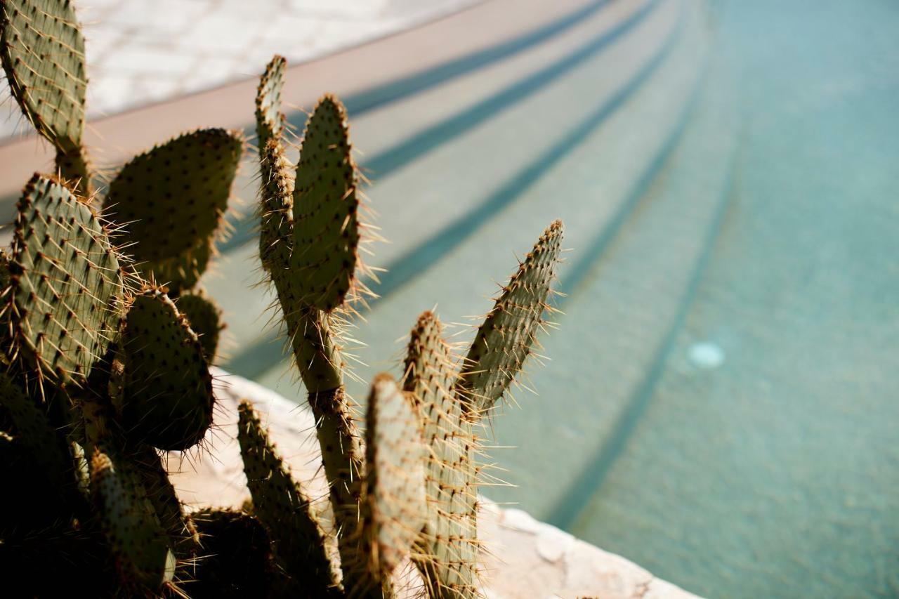 Echi Di Puglia Bed & Breakfast Polignano a Mare Bagian luar foto